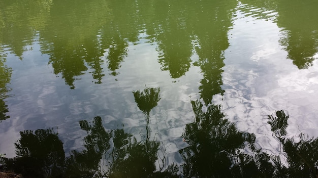 Photo reflection of trees in lake against sky