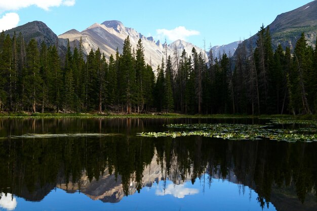 Photo reflection of trees in lake against sky