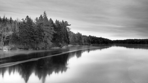 Reflection of trees in lake against sky