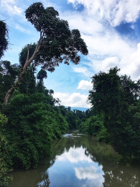 Photo reflection of trees in lake against sky