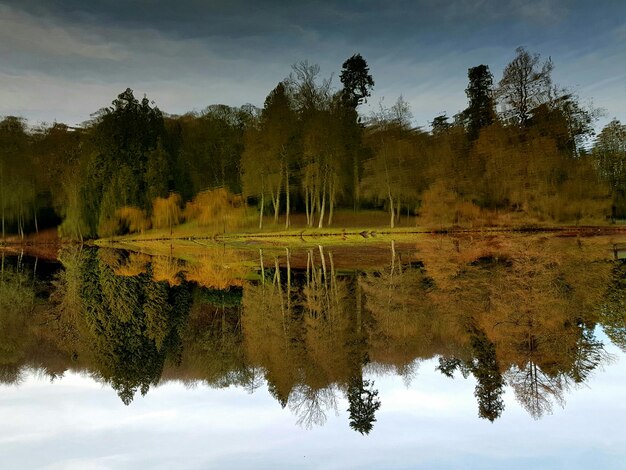 Reflection of trees in lake against sky