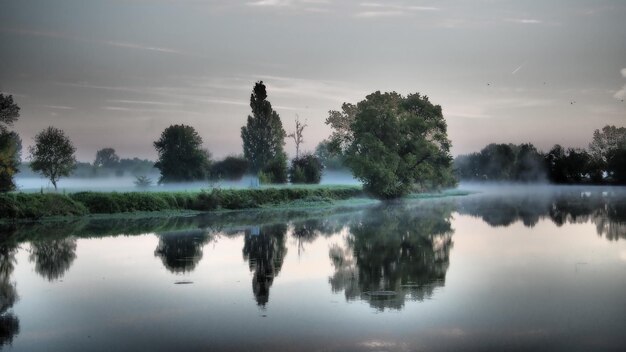 Reflection of trees in lake against sky