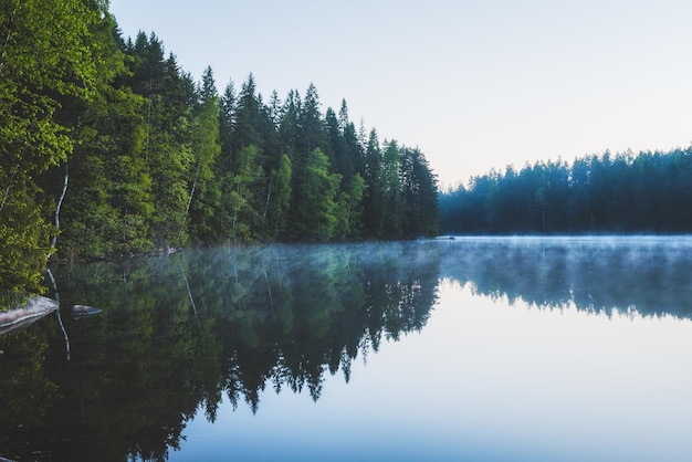 Reflection of trees in lake against sky