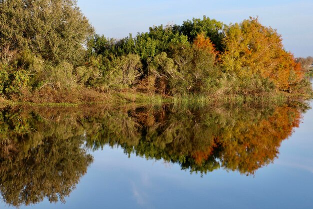 Reflection of trees in lake against sky