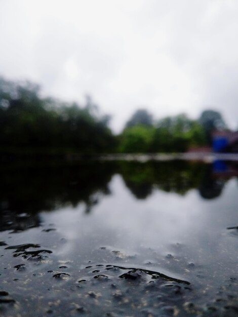 Reflection of trees in lake against sky