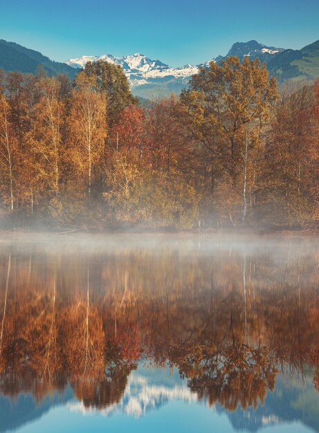 Photo reflection of trees on lake during autumn