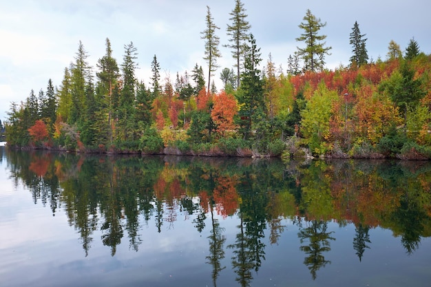 Photo reflection of trees on lake during autumn