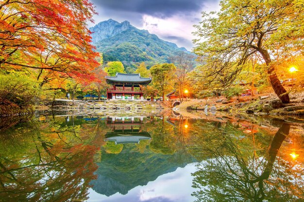 Foto riflesso degli alberi nel lago durante l'autunno