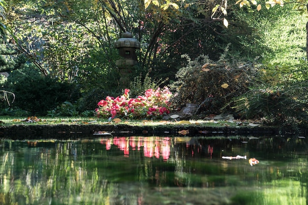 Foto il riflesso degli alberi nel lago