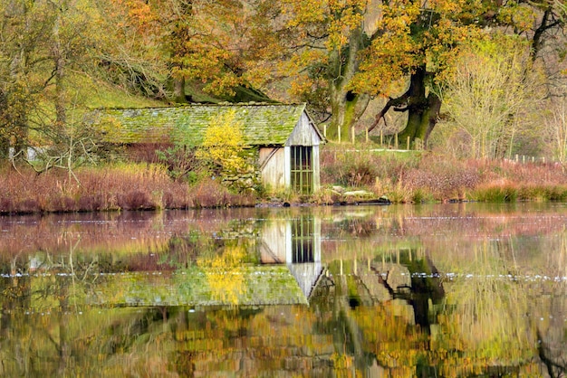 Reflection of trees in lake