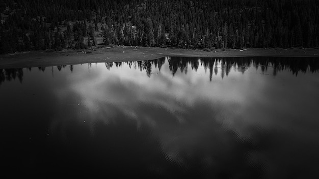 Photo reflection of trees in lake