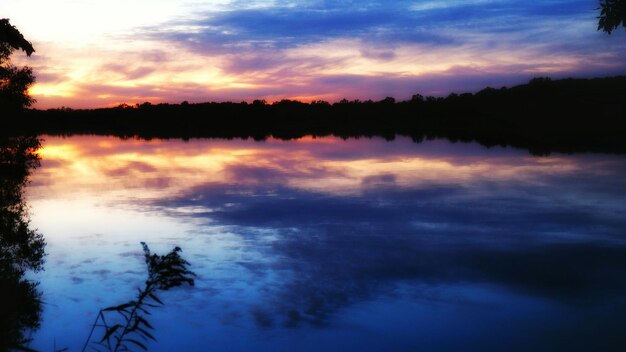 Photo reflection of trees in lake