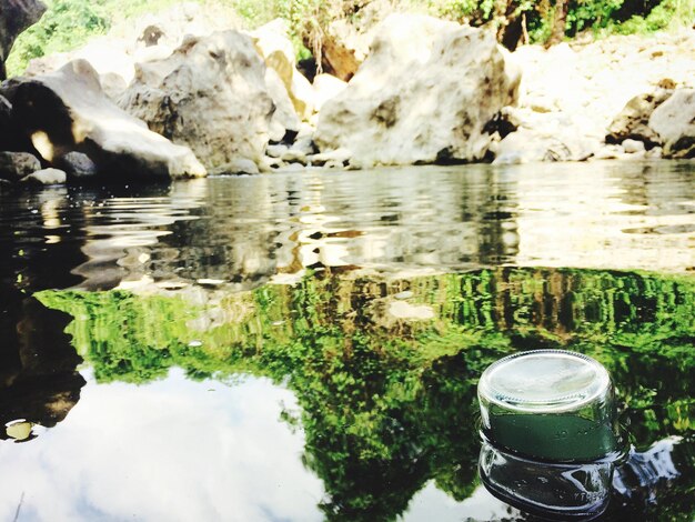 Foto il riflesso degli alberi sul lago