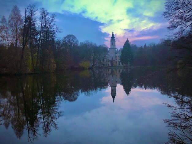 Photo reflection of trees in lake