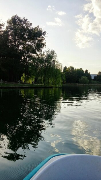 Reflection of trees in lake