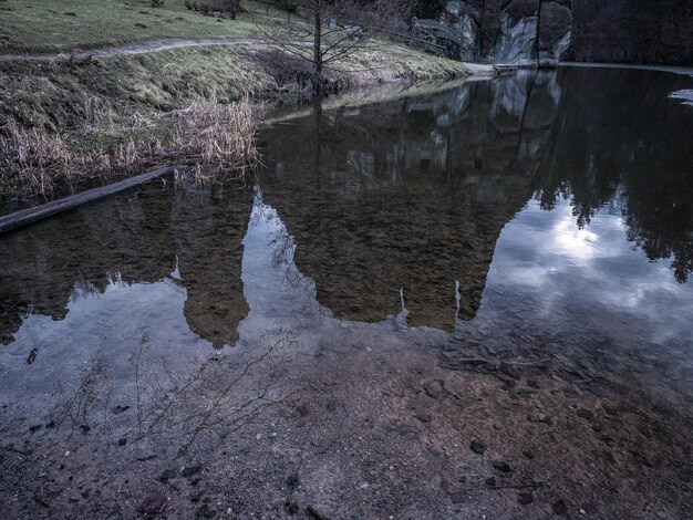 Reflection of trees in lake