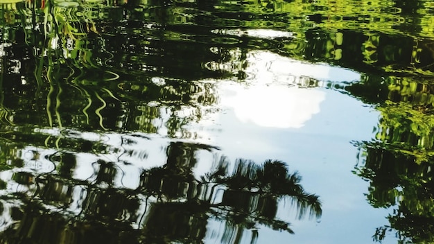 Foto il riflesso degli alberi nel lago