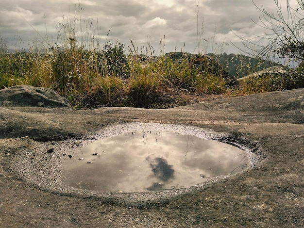 Foto il riflesso degli alberi sulla pozzanghera contro il cielo