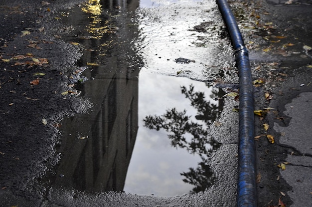 Photo reflection of trees in puddle on street during rainy season