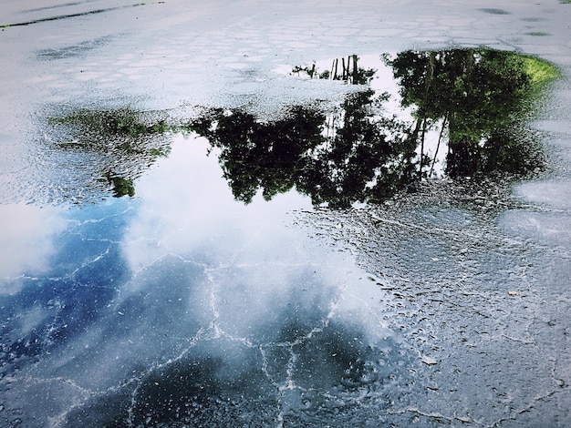 Photo reflection of trees on puddle at street