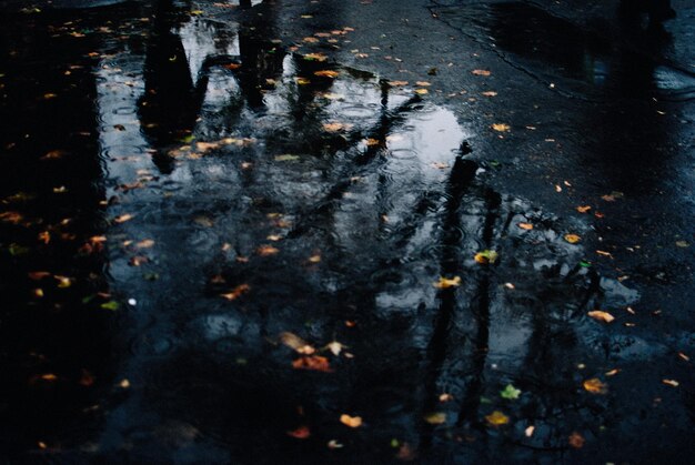 Photo reflection of trees in puddle on street