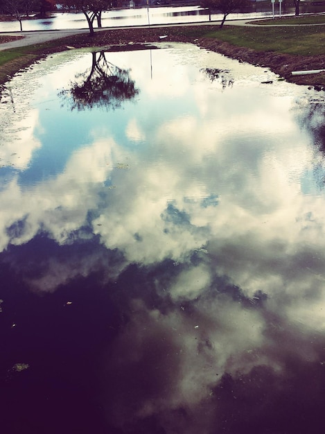 Foto riflessione degli alberi nella pozzanghera