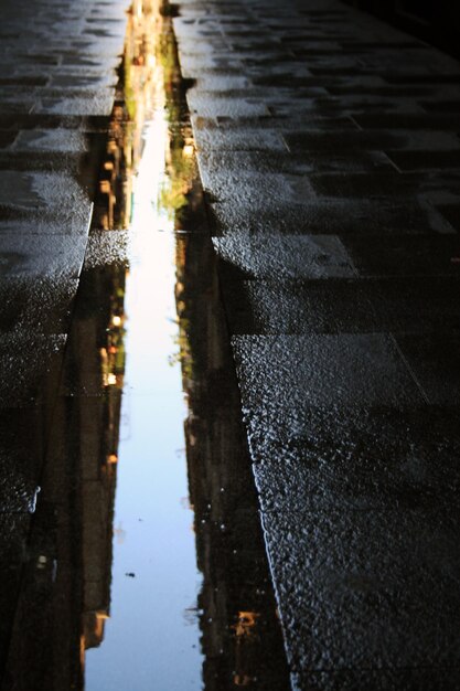 Foto riflessione degli alberi nella pozzanghera