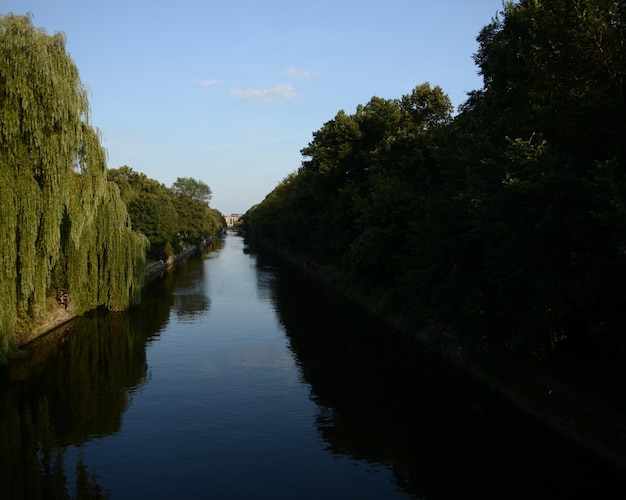 Reflection of trees in river