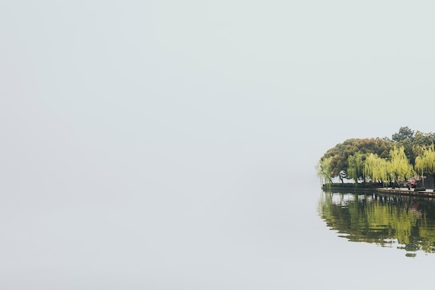 Photo reflection of trees in sea against clear sky