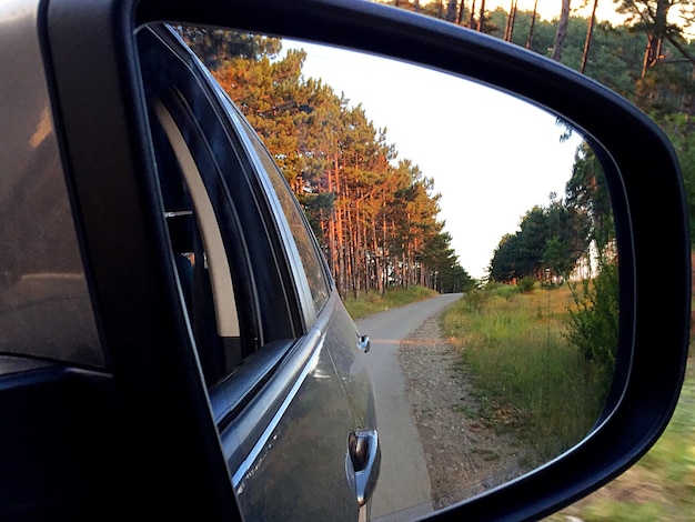 reflection of trees on side-view mirror of car