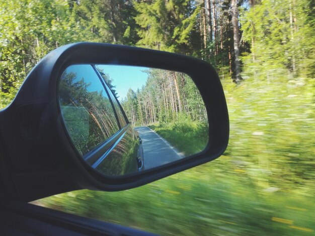 Photo reflection of trees on side-view mirror