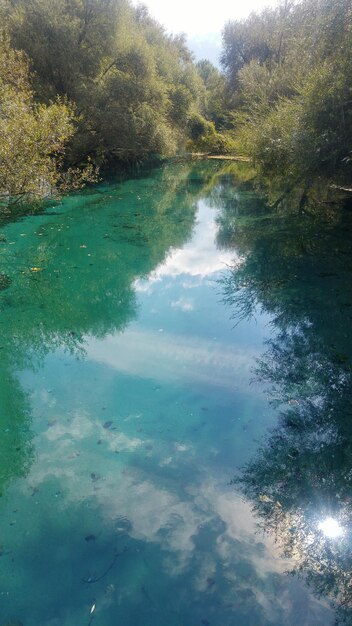 Reflection of trees in water against sky