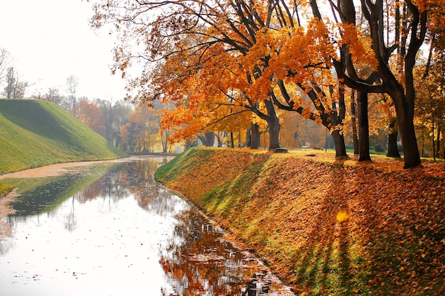 Photo reflection of trees on water during autumn