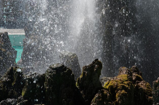 Foto il riflesso degli alberi nell'acqua di notte