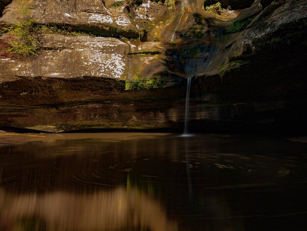 Reflection of trees in water at night