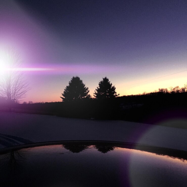 Photo 夕暮れの木の水の中の反射