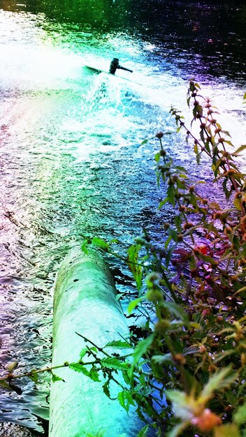 Foto riflessione degli alberi nell'acqua