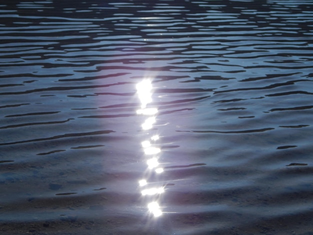 Reflection of trees in water