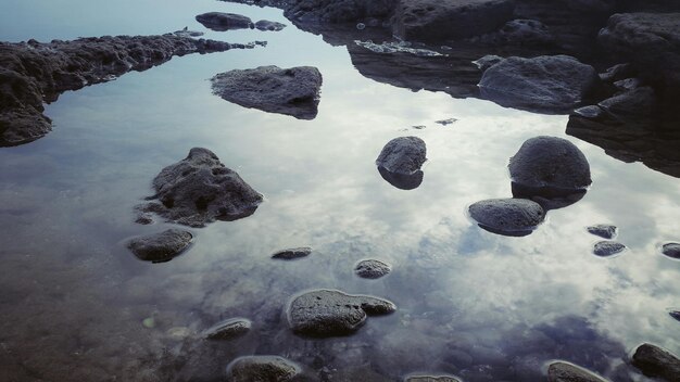 Reflection of trees in water