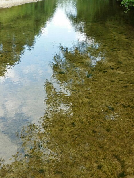 Photo reflection of trees in water