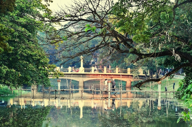 Photo reflection of trees in water