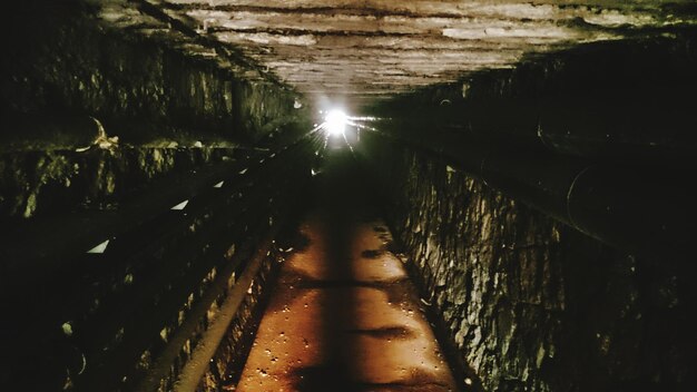 Foto riflessione degli alberi nell'acqua