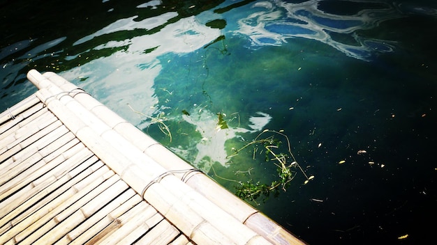 Reflection of trees in water