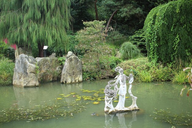 Foto riflessione degli alberi nell'acqua