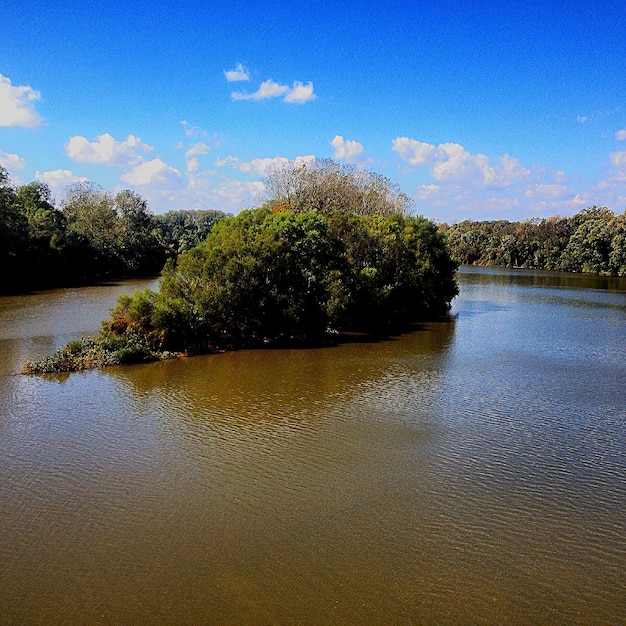 Foto riflesso degli alberi nell'acqua