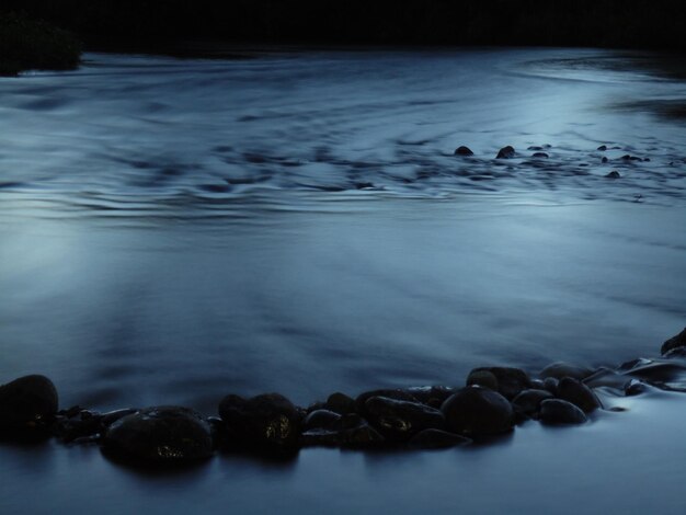 Photo reflection of trees in water