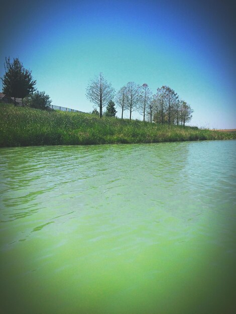 Photo reflection of trees in water