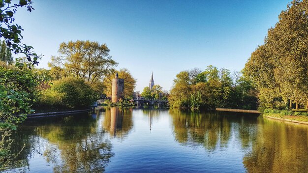 Foto riflessione degli alberi nell'acqua