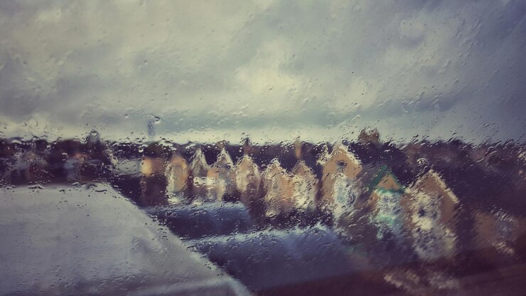 Photo 水の中の木の反射