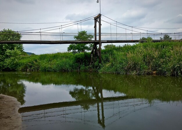 Reflection of trees in water